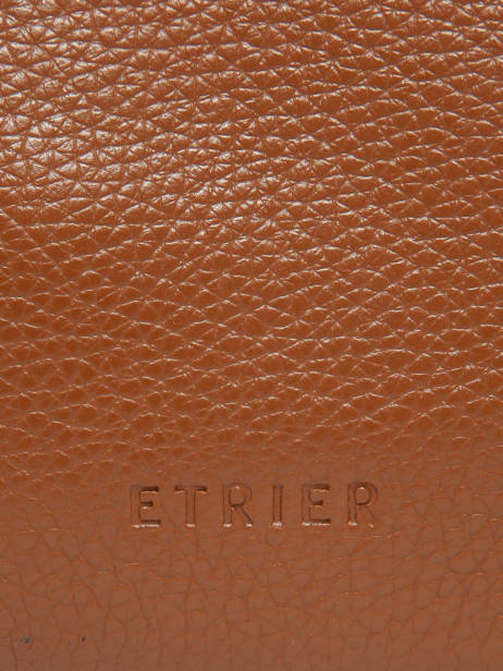 Leather Flandres Crossbody Bag Etrier Brown flandres EFLA728S other view 5